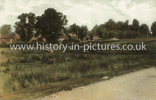 The Common, Shalford, Essex. c.1905
